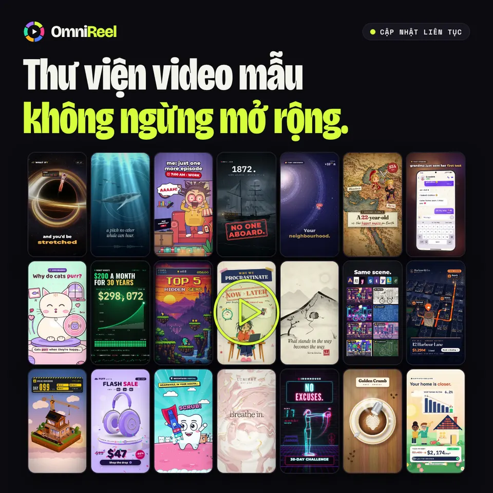 OmniReel — thư viện video mẫu không ngừng mở rộng