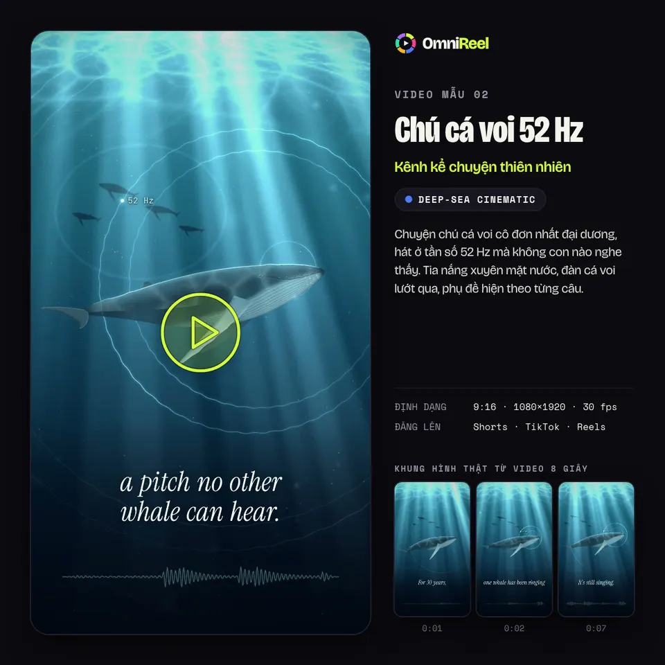 OmniReel — Chú cá voi 52 Hz