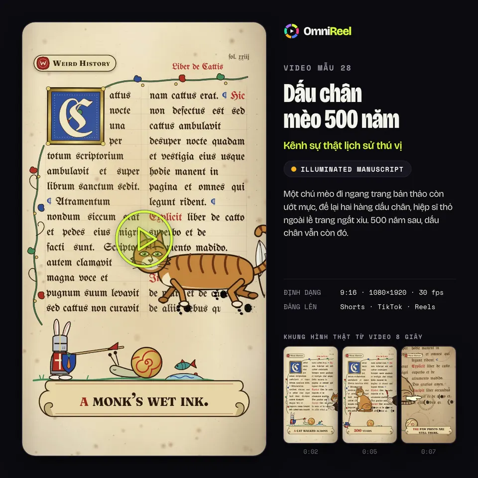 OmniReel — Dấu chân mèo 500 năm