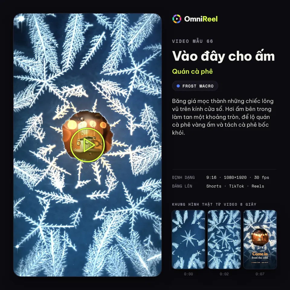 OmniReel — Vào đây cho ấm